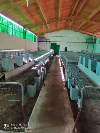 Terreno en lagunillas s/n