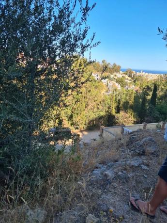 Terreno en calle e Ramos, 415