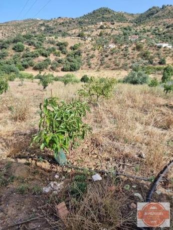 Terreno en Casarabonela