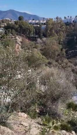 Terreno en calle e Ramos, 415