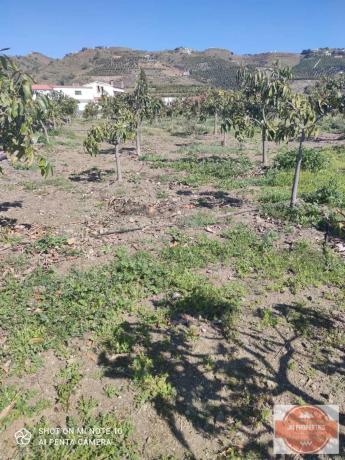 Terreno en Casarabonela