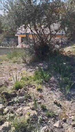 Terreno en calle e Ramos, 415