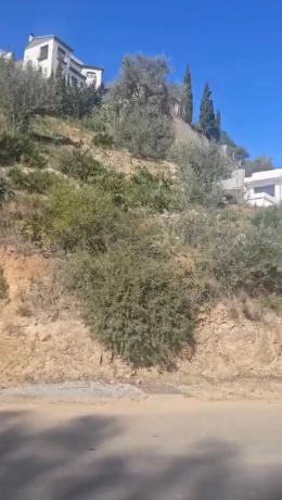 Terreno en calle e Ramos, 415