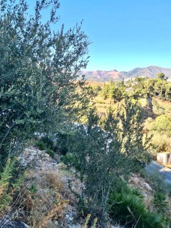 Terreno en calle e Ramos, 415