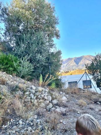 Terreno en calle e Ramos, 415