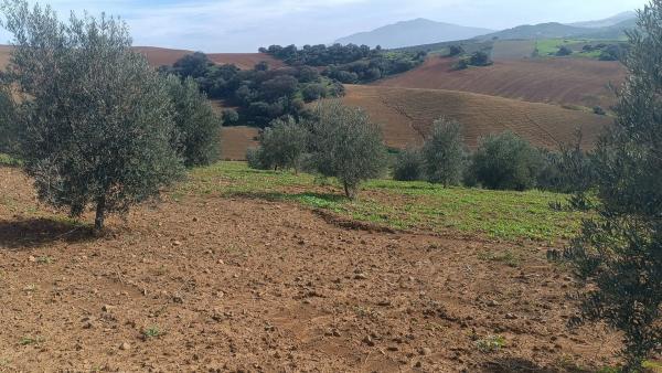 Terreno en via Sin Nombre s/n