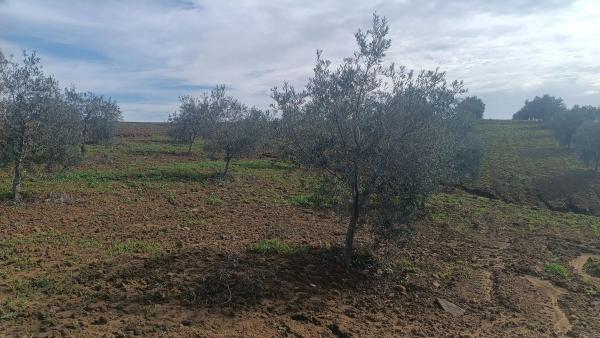 Terreno en via Sin Nombre s/n