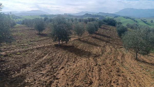 Terreno en via Sin Nombre s/n