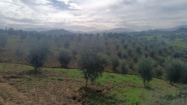 Terreno en via Sin Nombre s/n