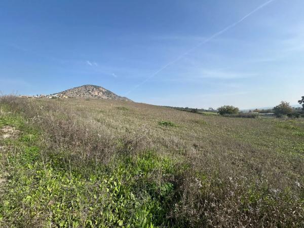 Terreno en Partida la Campiñuela