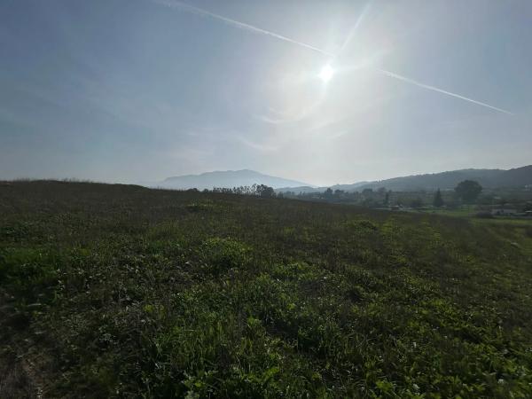 Terreno en Partida la Campiñuela