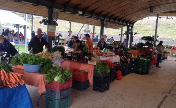Terreno en calle Alcalá del Valle