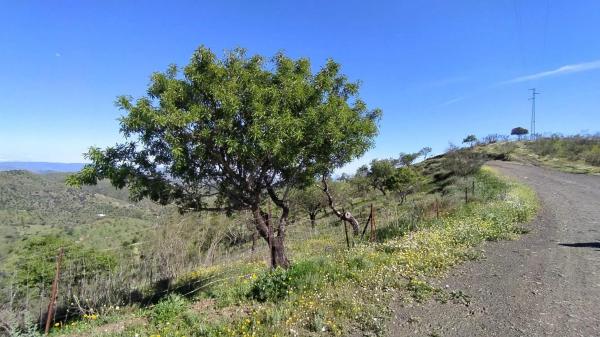 Terreno en Cártama pueblo