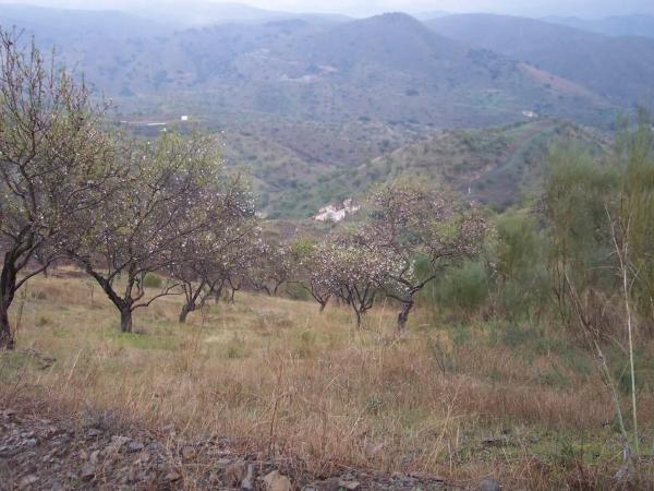 Terreno en Cártama pueblo
