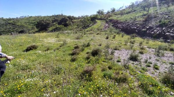 Terreno en Cártama pueblo