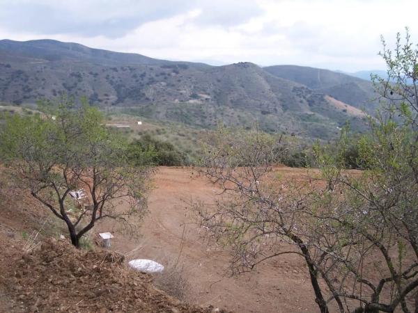 Terreno en Cártama pueblo