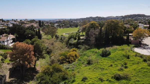 Terreno en calle Leo, 30
