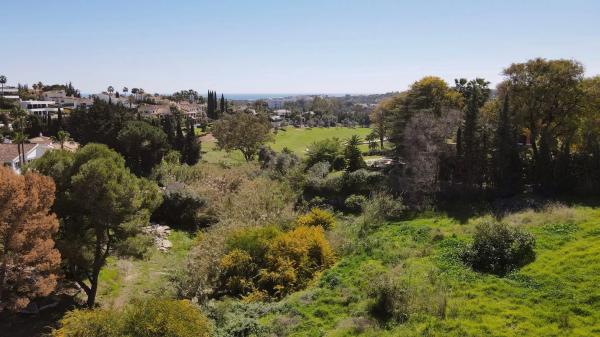 Terreno en calle Leo, 30