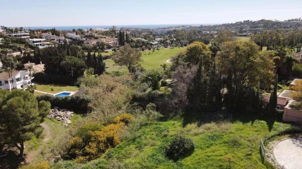 Terreno en calle Leo, 30
