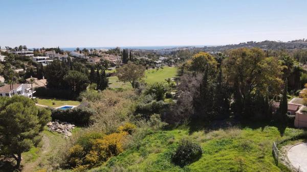 Terreno en calle Leo, 30