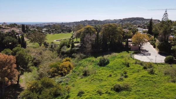 Terreno en calle Leo, 30