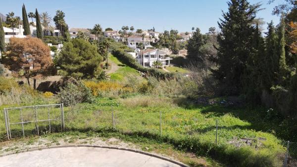 Terreno en calle Leo, 30