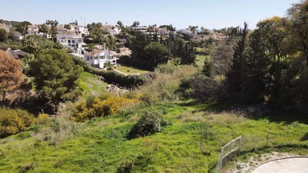 Terreno en calle Leo, 30