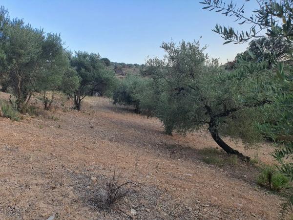 Terreno en via sin nombre, km 1