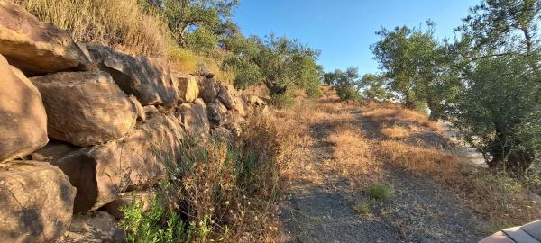 Terreno en Pdo. Almarajes s/n