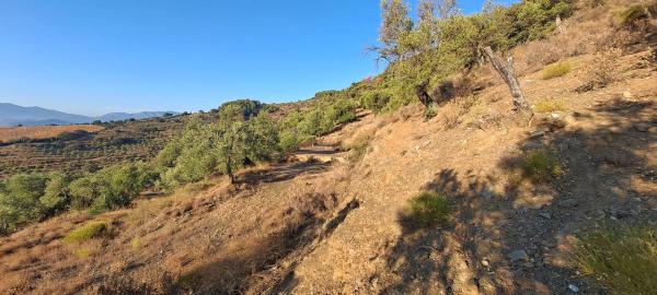 Terreno en Pdo. Almarajes s/n