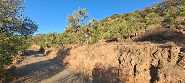 Terreno en Pdo. Almarajes s/n