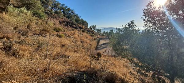 Terreno en Pdo. Almarajes s/n