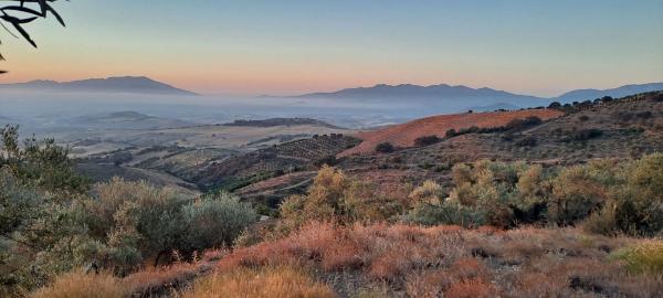 Terreno en Pdo. Almarajes s/n