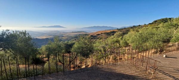 Terreno en Pdo. Almarajes s/n