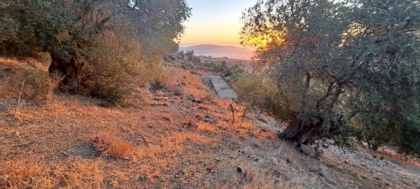 Terreno en Pdo. Almarajes s/n