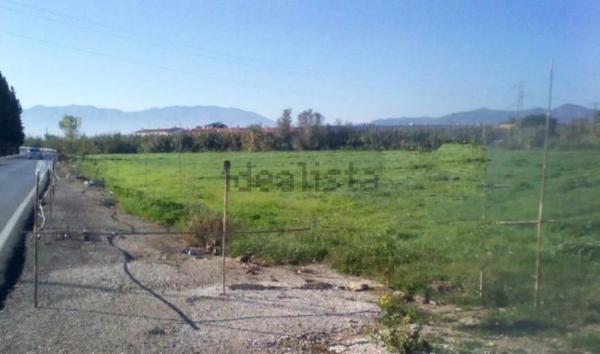 Terreno en calle Violeta, 2