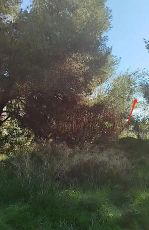 Terreno en calle Amanecer