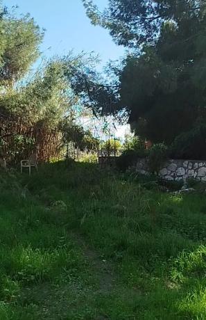 Terreno en calle Amanecer