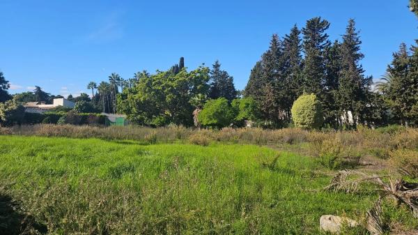 Terreno en calle 7, 183 -a