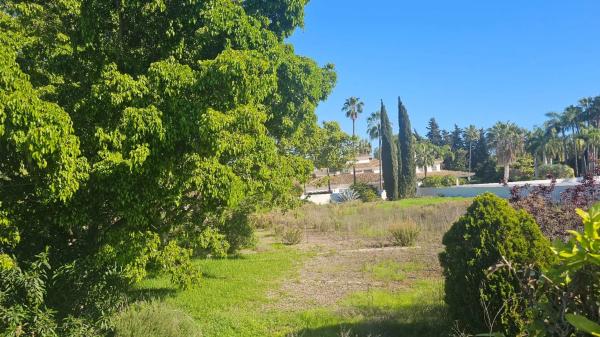 Terreno en calle 7, 183 -a