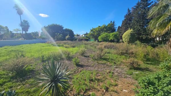 Terreno en calle 7, 183 -a