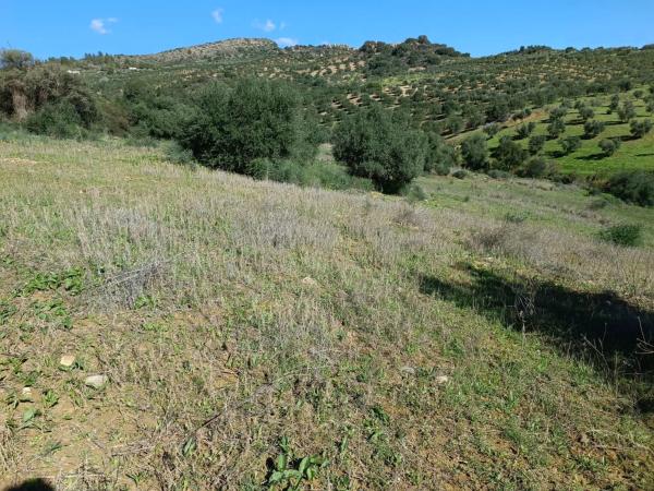 Terreno en Diseminado Diseminados, 7