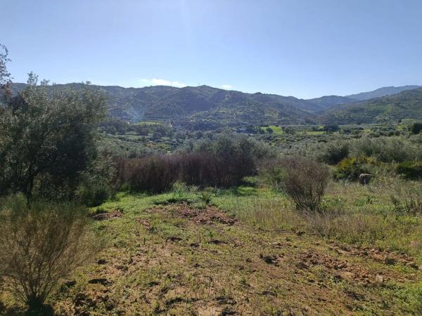 Terreno en Diseminado Diseminados, 7