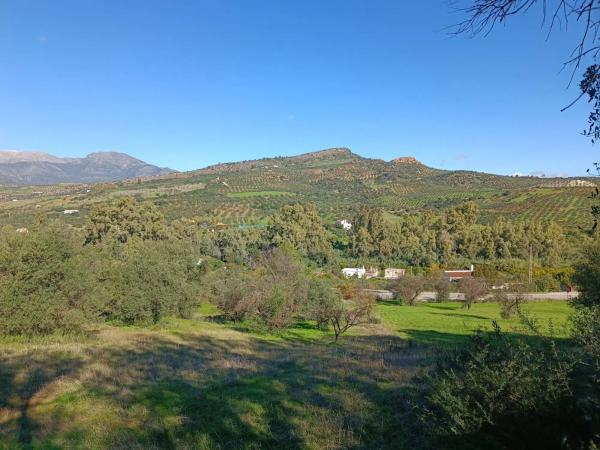 Terreno en 36°40'53.5" s/n