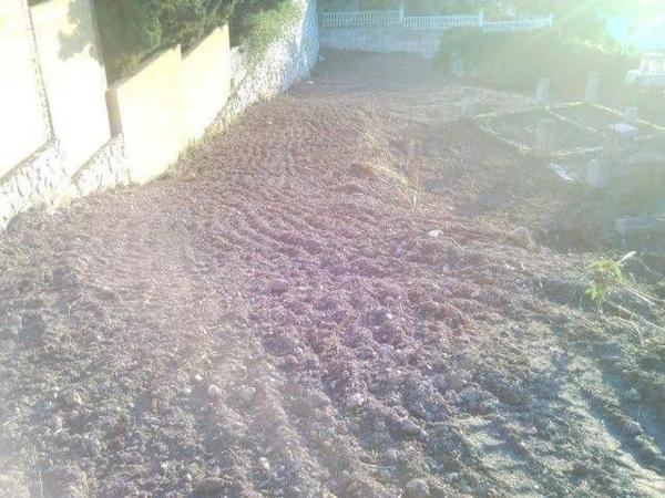Terreno en avenida de Benalmádena, 8