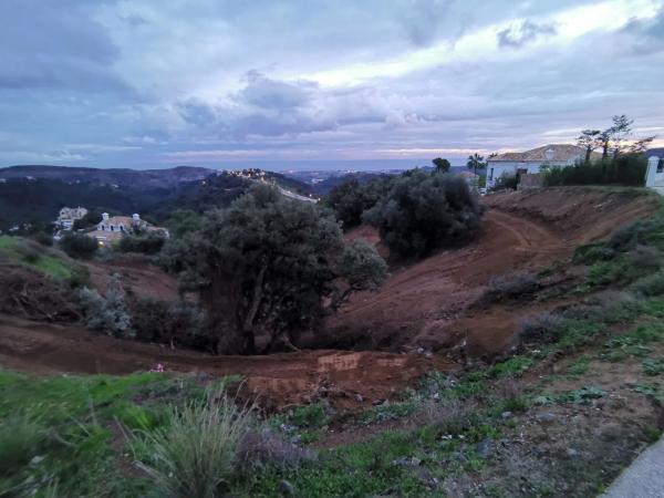 Terreno en alto Urbanizacion Montemayor, 23