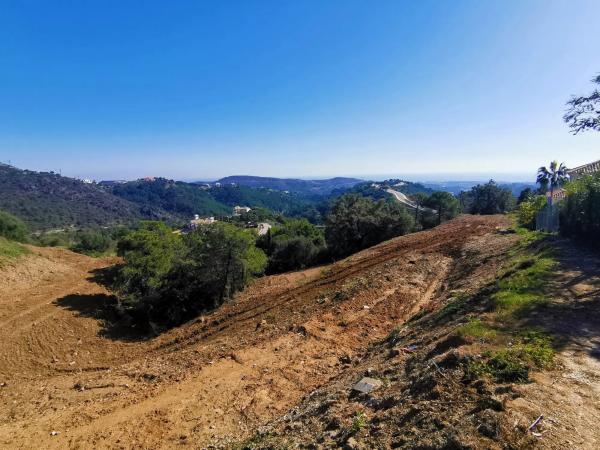 Terreno en alto Urbanizacion Montemayor, 23