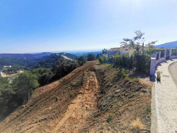 Terreno en alto Urbanizacion Montemayor, 23