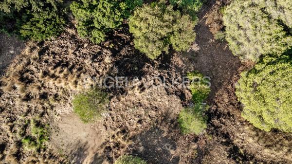 Terreno en avenida de España