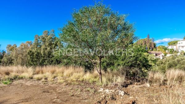 Terreno en avenida de España
